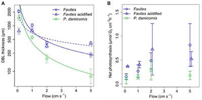 Corrigendum: Flow and Coral Morphology Control Coral Surface pH: Implications for the Effects of Ocean Acidification